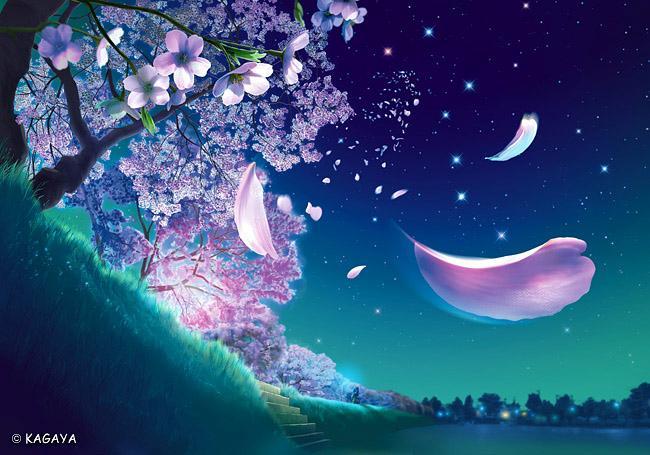 credit-sakura in night 1.jpg